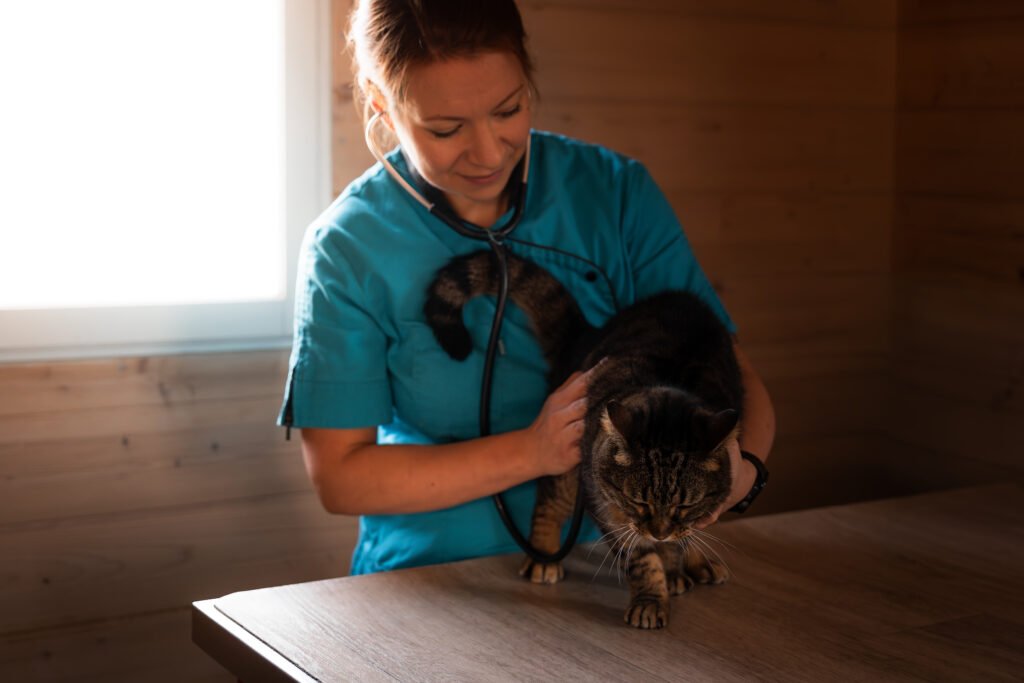 Photographe d'entreprise et corporate